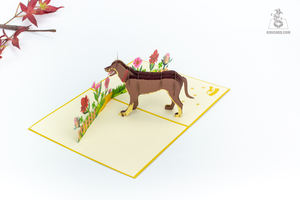 Cartes d'animaux en papier artisanal écologique personnalisable pour les occasions cadeau d'artisanat en papier de qualité supérieure - Product Image 4