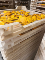 100% Natuurlijke Zachte Gedroogde Mango-Mekong Riviermerk