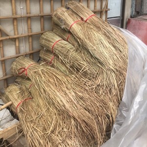 หญ้าแห้งม้วนเป็นม้วนสำหรับมุงหลังคาร่ม - Product Image 2