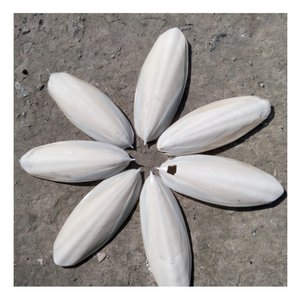 100% กระดูกปลาหมึกธรรมชาติที่เป็นมิตรกับสิ่งแวดล้อมจากเวียดนามกระดูกปลาหมึกสดสำหรับงานศิลปะกระดูกปลาหมึกทันสมัยสำหรับเคี้ยวสัตว์เลี้ยง - Product Image 1