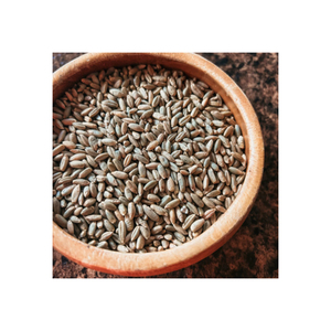 Roggekorrel Voor Dierlijke En Menselijke Voeding Van Biologische Tarwekorrels/Biologische Producten Gecertificeerde Biologische Roggebessen | 5 Pond Volkoren Tarwekorrel - Product Image 5