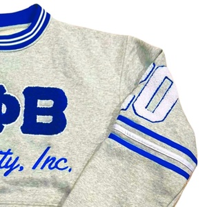 Personalizado Zeta Phi Beta sudadera Streetwear hombres Unisex liso de alta calidad de gran tamaño Universidad hermandades sudaderas - Product Image 4