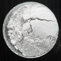 AlOOH de Alta Pureza, Pseudo Boehmite, 60-80 Nanómetros, Área de Superficie Específica 100-120, Ultra Blanco, Grado Electrónico, Revestimiento Cerámico