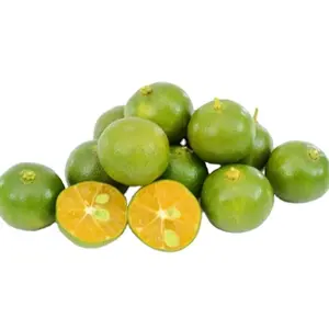 Fresh calamansi fresh lemon from Vietnam with best price Lime Seedless- WS 0084 989 322 607
