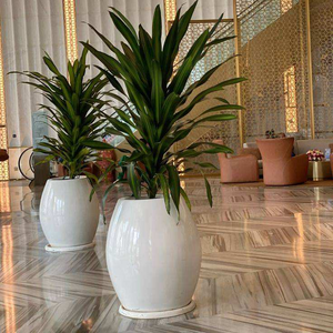 Maceta de Fibra de Vidrio de Primera Calidad, Diseño Clásico, Acabado Rústico, Ecológica y Ligera, Ideal para Decoración de Interiores y Exteriores del Hogar y Jardín - Product Image 3