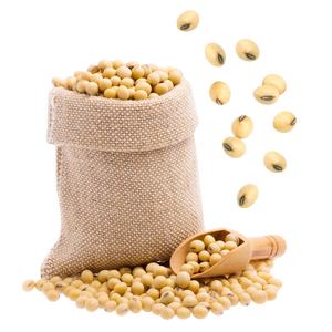 SOJA PREMIUM | ORIGEN DE VIETNAM | GRADO DE EXPORTACIÓN - Product Image 1