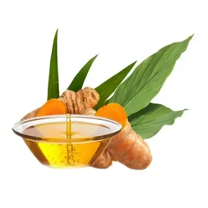 印度出口商的自有品牌有机根提取物姜黄精油最佳护肤面部血清姜黄油