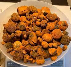 Cálculos biliares naturales de vaca y buey de grado premium con certificación veterinaria para uso en la industria médica Proteína de fuente de ganado - Product Image 5