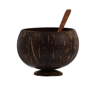 Vente en gros 100% naturel écologique biodégradable réutilisable ensemble tasse et cuillère en bois coquille de noix de coco fabriqué au Vietnam par Eco2go - Product Image 1