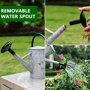 Arrosoir en métal élégant à poignée incurvée avec finition en zinc antique idéal pour une utilisation dans le jardin domestique et un affichage décoratif - Product Image 5