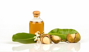 Vente en gros de pétrole du Viet Nam Tamanu en vrac et à prix compétitif - Product Image 6