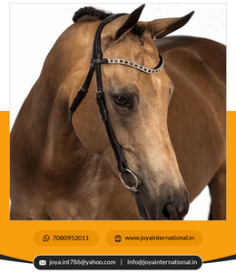 Bandas de color negro y transparente para mujer, bandas de color negro y transparente, proveedor y distribuidor de la India - Product Image 6