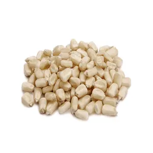 Prezzo all'ingrosso mais bianco di alta qualità mais bianco per alimentazione animale fornitore