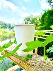 Vaso de Papel de Pared Simple Reciclable GREEN NEST para Bebidas Calientes/Frías, Vaso Desechable Sostenible con Impresión de Logotipo Personalizado - Product Image 5