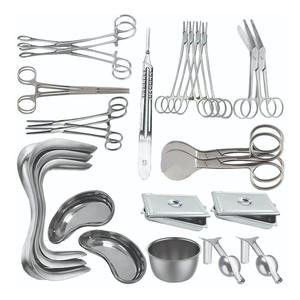 Ensemble d'instruments de chirurgie orthopédique sur mesure, pinces manuelles, rétracteur, plateau, scalpel, ciseaux, fabriqués en acier inoxydable de qualité médicale - Product Image 1