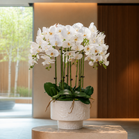 Orchid Phalaenopsis Buatan Sentuhan Realistis untuk Dekorasi Hotel dan Interior