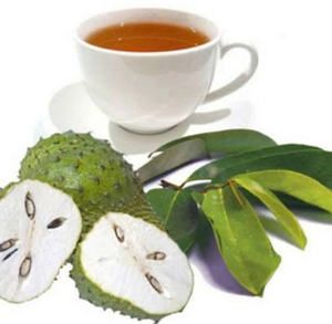 Poudre de feuilles de corossol en gros: la meilleure qualité du Vietnam - Product Image 3