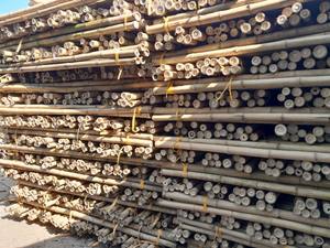 Postes de bambú gruesos y duraderos al por mayor a granel para la construcción de Vietnam-Confiable y sostenible - Product Image 2