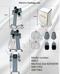 Equipo de Belleza Tesla para Modelado Corporal con Electromagnetismo de Alta Intensidad Enfocado Verticalmente - Product Image 3