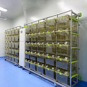 Hayvan laboratuvarı IVC kafesleri hayvan deneyleri için ayrı ayrı havalandırmalı kafesler hayvan araştırma havalandırmalı kafes ekipmanları - Product Image 3