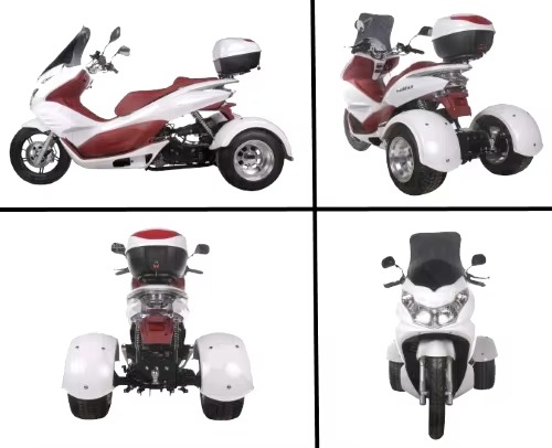 Trike 50cc High Quality Gas Scooter for Adults