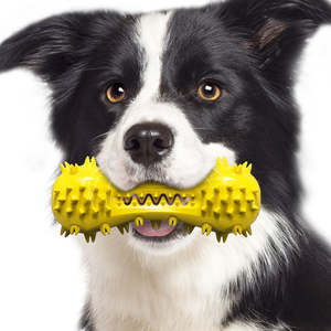 Eco-Friendly TPR Modern <b>Dog</b> Dental Health Chewing Toys-<b>Toothbrush</b> Vocal Dumbbells Molar Rods Explosive Models - Product Image 2