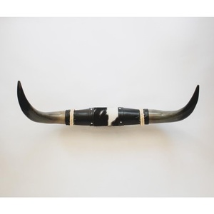 Cuernos de Toro Decorativos Hechos a Mano, Grandes, de Cuerno de Buey Natural, Ecológicos, de la India, para Decoración de Paredes con Temática Rústica, de Estilo Occidental o para Cuartos de Hombre - Product Image 1
