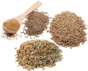 Graines de cumin séchées en gros en vrac processus publicitaire avec partie de feuille fabricant de graines de cumin fournissant des graines de cumin entières - Product Image 3