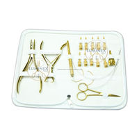 Ensemble de 3 pinces de haute qualité pour extensions de cheveux, crochet à perles, ciseaux |   Kit d'outils en acier inoxydable (usage en salon, garantie 1 an) LUMINEX