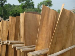 Hot Sale! Eucalyptus <b>Veneer</b> <b>Sheets</b> - Durable, Smooth, and Affordable - Product Image 3