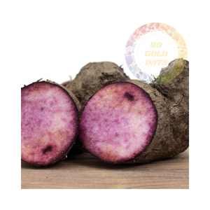 Yam dulce púrpura vietnamita de alta calidad, fresco y puro, precios competitivos para pedidos a granel, entrega internacional rápida - Product Image 3