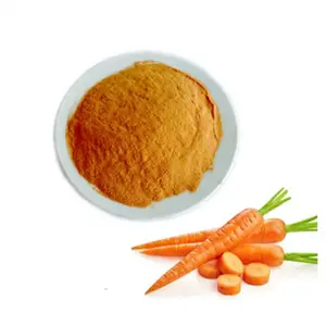 Huge Demanded Top Most Selling 100% Pure Carrot Vegetable Powder for Confectionery and Baking Products at Exclusive Price