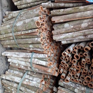 ¡MUY CALIENTE! Corteza de Cassia de Alta Calidad Directo de Fábrica |   PALITOS DE CANELA VIETNAMITA |   MEJOR PRECIO para EXPORTACIÓN - Product Image 4