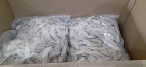 FABRICANT EXPORTANT UN ESSONS NATUREL SQUID SQUID BONE SQUID POUR ALIMENTS POUR ANIMAUX DE COMPAGNIE COIN/PRIX RAISONNABLE - Product Image 4