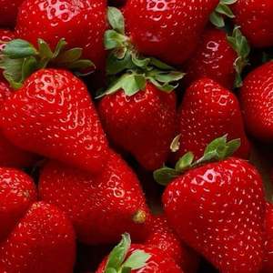 Fresas Frescas, Bayas Rojas Dulces, Venta al por Mayor de Fábrica, Fresas Naturales - Product Image 2