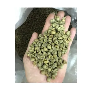 Wholesale Aromatic Robusta Coffee Beans Vietnam Green Coffee Beans Made in Vietnam Bean ISO22000 2018 Roasted Coffee