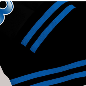 Zeta Phi Beta 1920 azul blanco hermandad ZPB Greek Life Varsity Letterman chaqueta Chenille Patch Founders Edition - Product Image 6