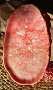 Wholesale Factory Price Salad Bowl <b>Resin</b> Size Customized logo and Multi <b>Colour</b> <b>Resin</b> Salad Bowl Big Size Available - Product Image 5