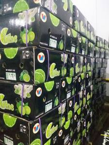 มะนาวไร้เมล็ดออร์แกนิกจากเวียดนาม ผลไม้สด ราคาไม่แพง โดยผู้ผลิตเวียตเดลต้า - Product Image 5