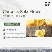 Fleurs de Camélia Sola Biologiques Écologiques Faits Main de Haute Qualité pour Décoration Intérieure/Extérieure d'Halloween – Vente en Gros