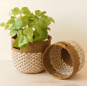 BEST SELLER - Wholesale Set 2 <b>Seagrass</b> <b>Baskets</b> Products <b>Seagrass</b> <b>Basket</b> in High Quality For Home Decor Made in VIETNAM - Product Image 3