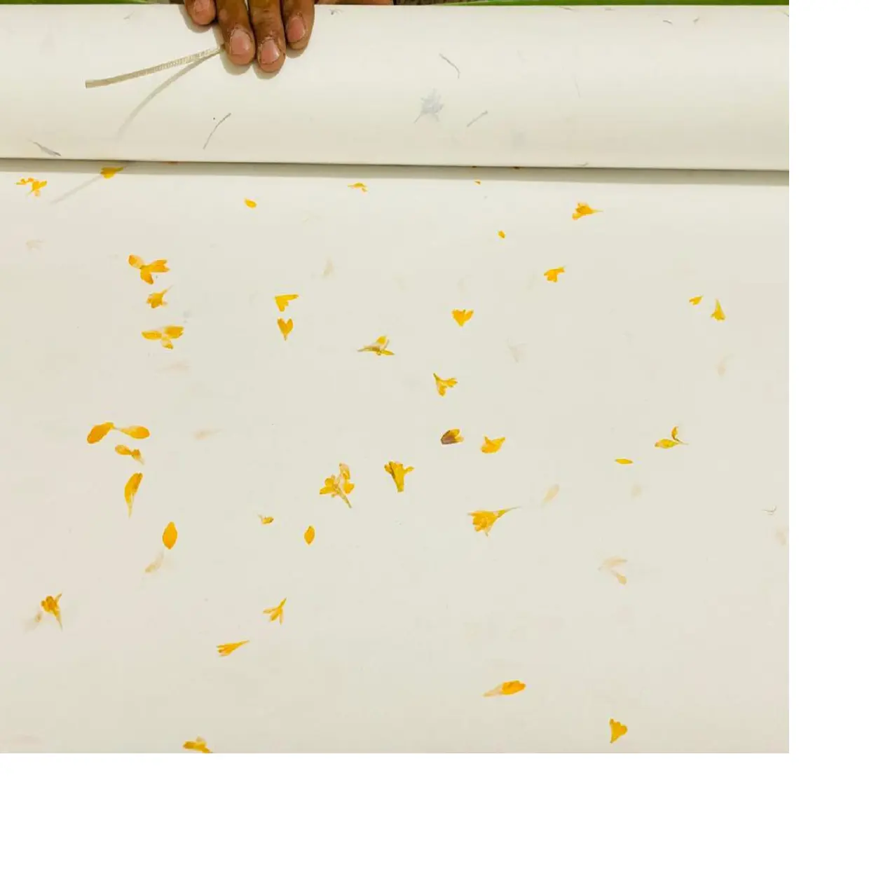 custom made hand made aster petal handmade papers available in size 56*76 cm suitable for journal makes and gift wrap
