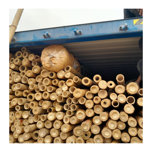 Poteaux de bambou massif naturel pour la construction-Poteau de bambou bon marché en vrac - Product Image 5