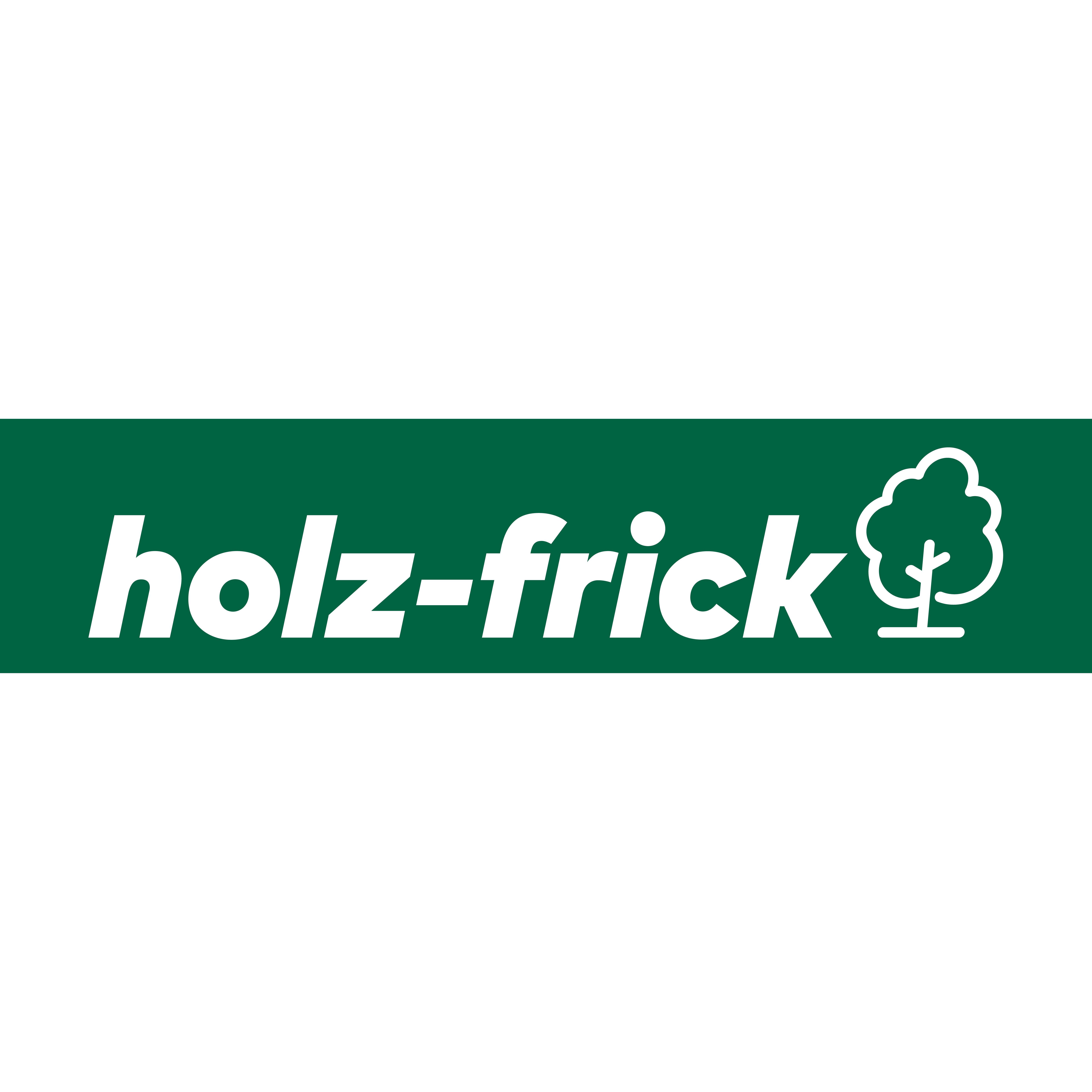 holz-frick GmbH logo