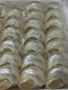 เปลือกหอยเทอร์โบสีเขียวมุกสำหรับตกแต่งตู้ปลาหรูหราและออกแบบภายในชายฝั่งทะเล - Product Image 6