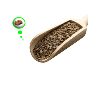 ผักชีฝรั่ง | ผลิตภัณฑ์ที่เชื่อถือได้สำหรับใช้ทำอาหารสมุนไพร - Product Image 2