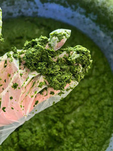 SUPERALIMENTO DE HOJAS DE YUCA CONGELADAS PARA UN APOYO INMUNE NATURAL CON LA ETIQUETA LIMPIA PROMESA - Product Image 5