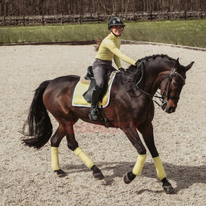 แผ่นรองอานม้าภาษาอังกฤษระบายอากาศได้ดีบุนวมนุ่มออกแบบทนทานเพื่อความสบายสูงสุดของม้าและประสิทธิภาพที่มั่นคง - Product Image 5