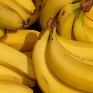 โปรโมเตอร์การเจริญเติบโตของพืชกล้วย