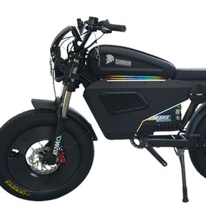 Bicicleta Eléctrica Híbrida Todoterreno RF250RX de 250cc, 3000w, 30AH/60AH, Neumáticos Anchos, Batería de Litio de 48V, Cuadro de Acero, >80km/h, EE. UU. - Product Image 2